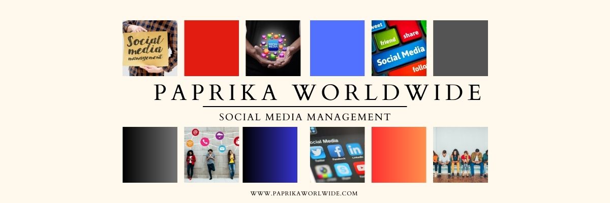 social media management