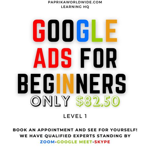 Google Ads 101 for DUMMIES